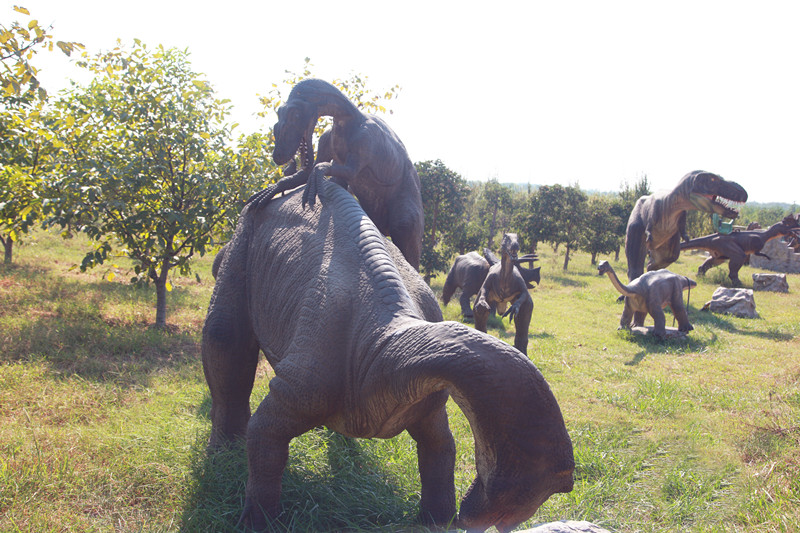 棗鄉(xiāng)03.jpg 棗鄉(xiāng)03.jpg