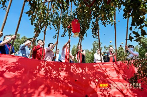 1631494283257481.jpg zhu23 (2).jpg