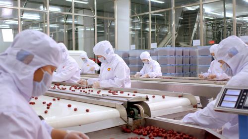 1700032912510184.jpg 紅棗多重分揀.jpg