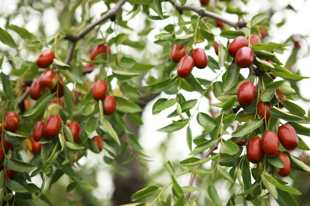 1731465341130984.png 微信圖片_20241113103505.png