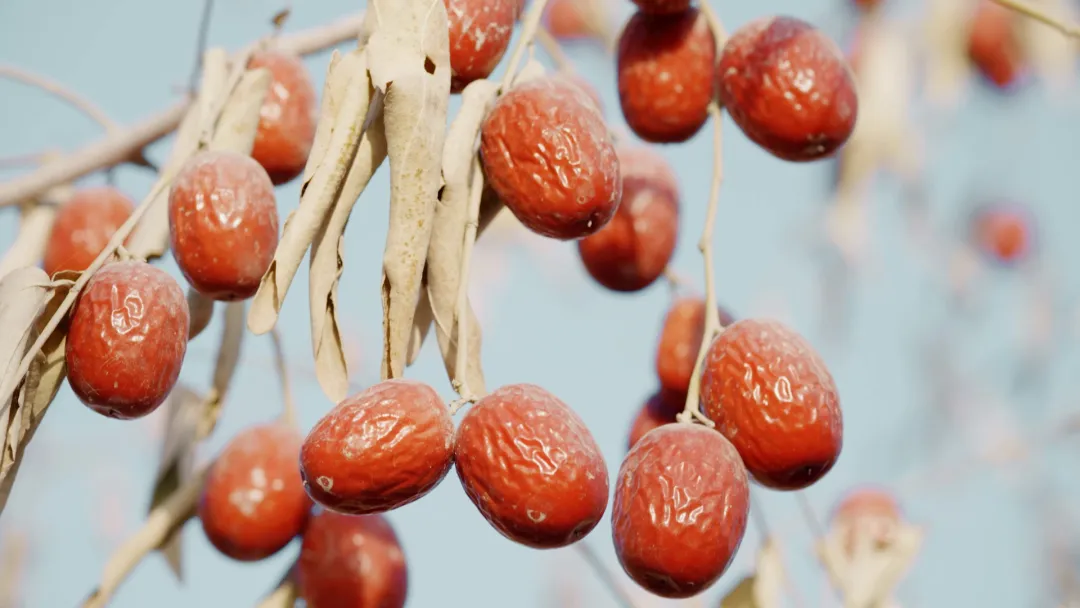 1731466261751836.png 微信圖片_20241113104620.png