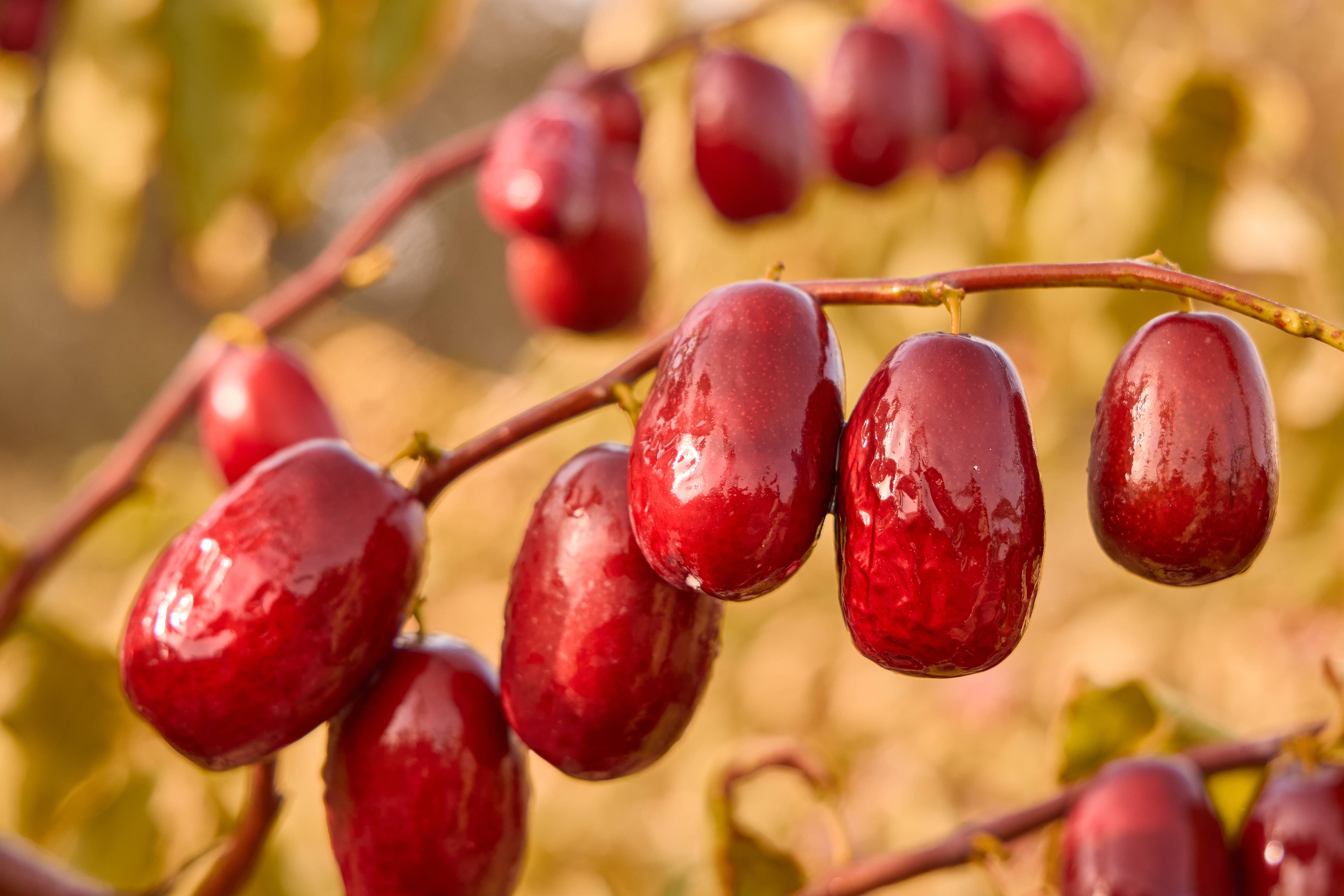 1741314995693595.jpg 微信圖片_20241129161811.jpg