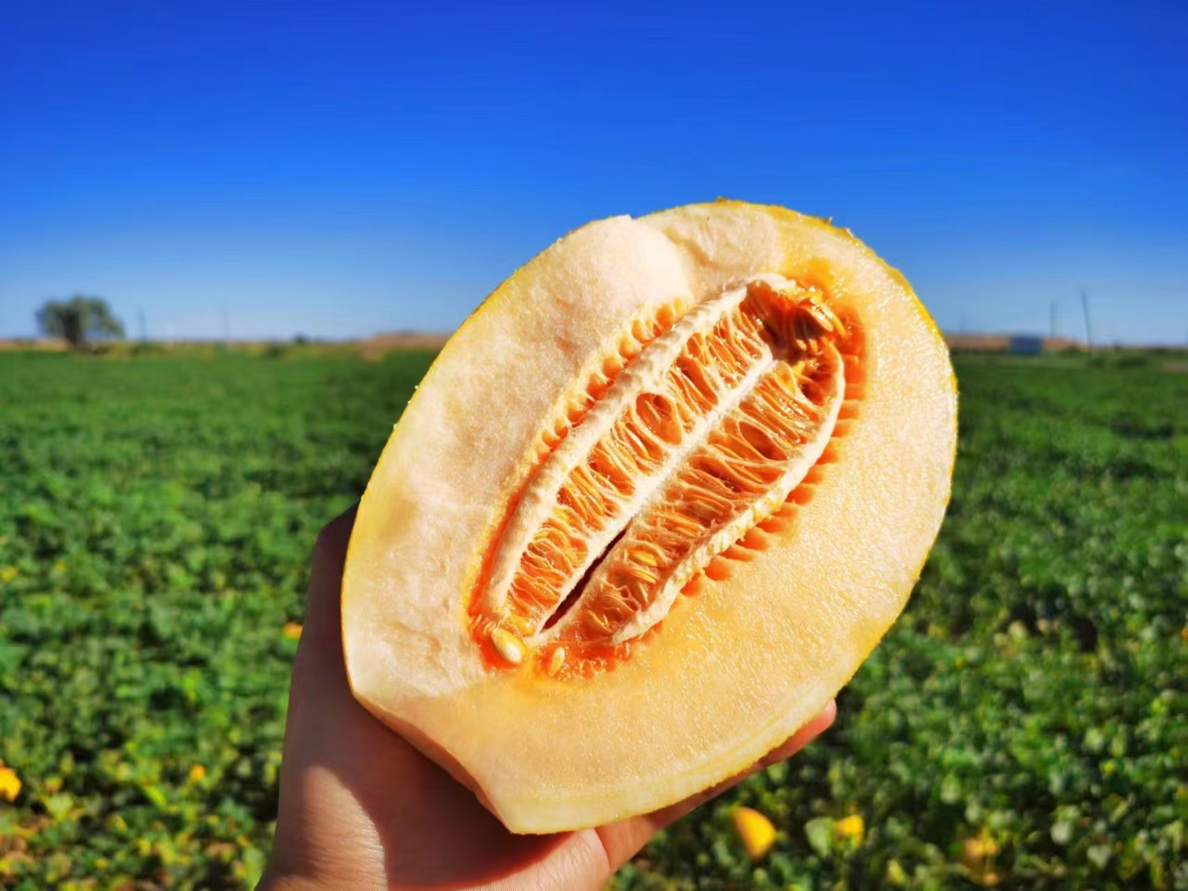 1753760109779984.png 圖片5.png